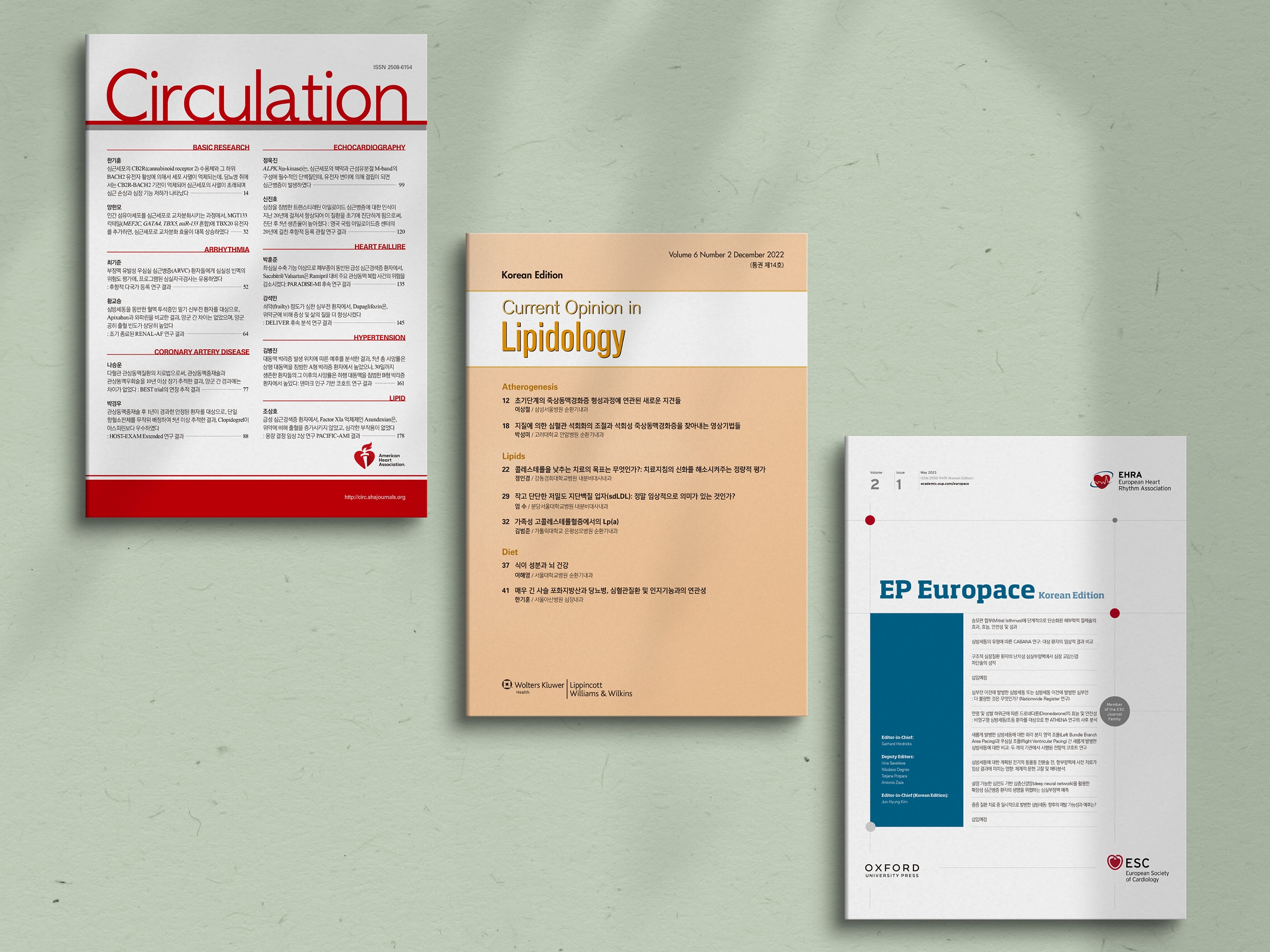 International Journal