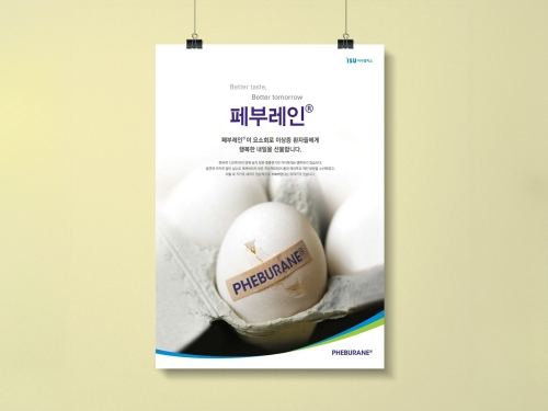 이수앱지스 페부레인 포스터